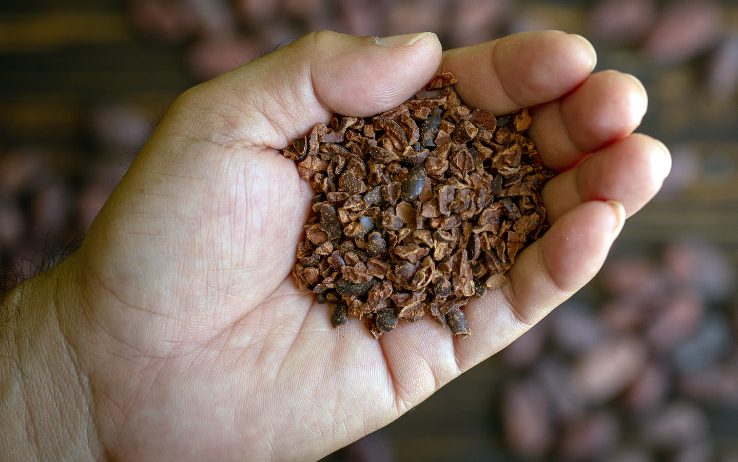 cocoa roaster cooling system